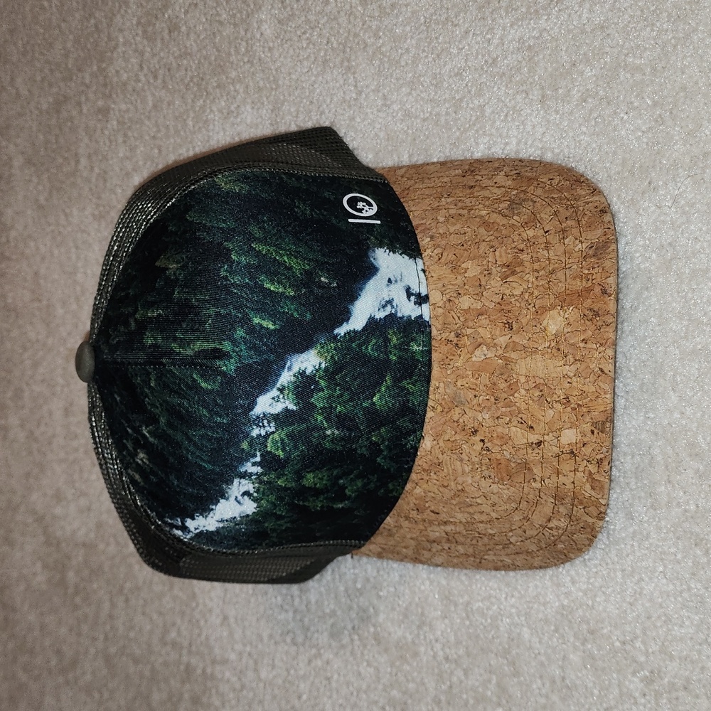 Tentree Cap